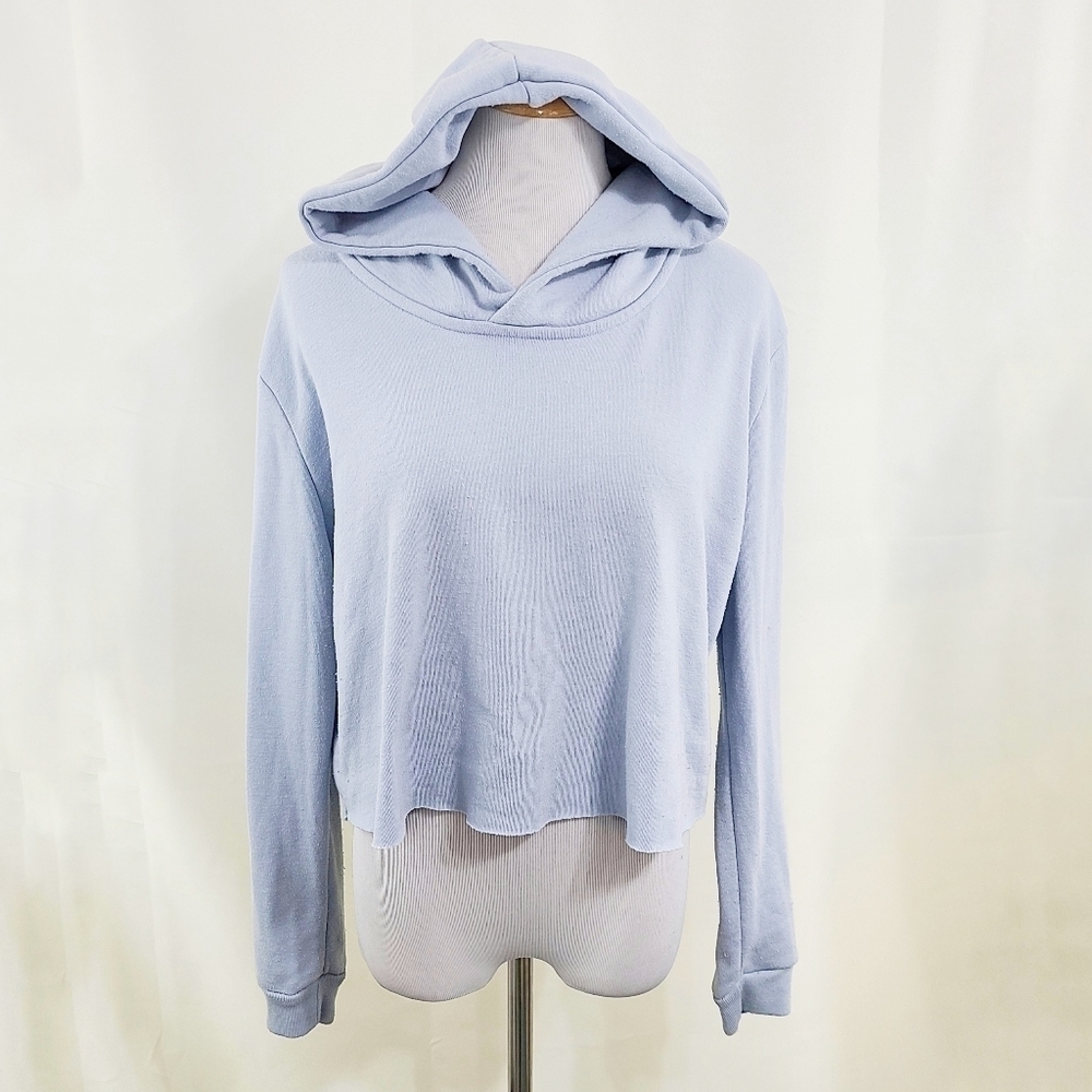 Brandy Melville light blue cropped hoodie Hooded Sweatshirt